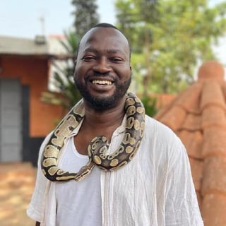 Ladetunji OSIBANJO profile picture