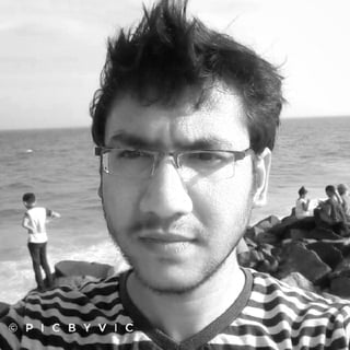 Vignesh S profile picture