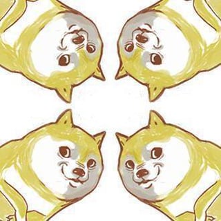 DogeKing profile picture