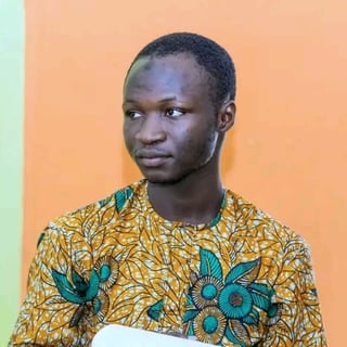 Alimi Lamidi profile picture