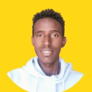 Bereket Desalegn profile picture