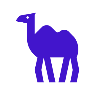 Camel ai profile picture