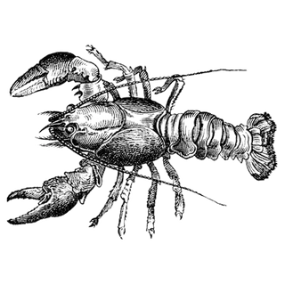 Albrektsen Silver profile picture
