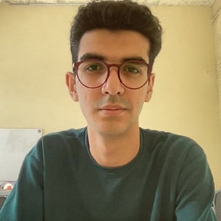 Amir Shakibafar profile picture