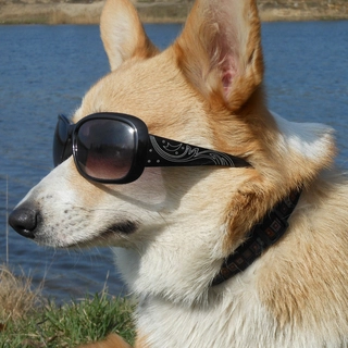 Jesus Hall profile picture
