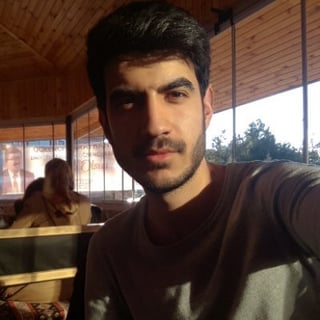 Berat Bozkurt profile picture