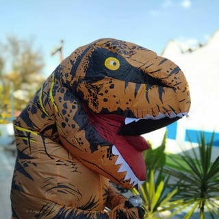 dinoprogrammer profile picture