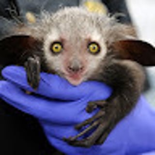 spopa profile picture