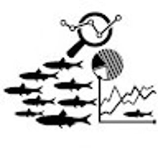 r4fish profile picture