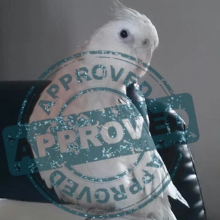Babydollll profile picture