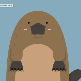 Platypus  profile picture
