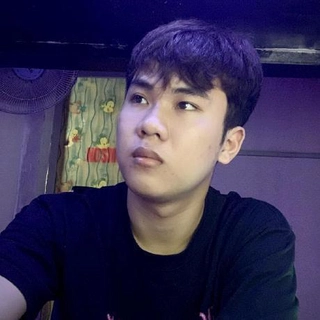 Van Tu profile picture