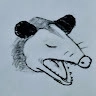 Jean Carlos Alencar profile picture