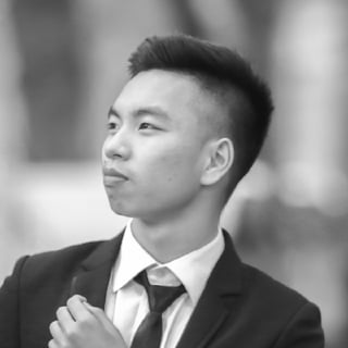 Nguyen Son profile picture