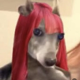 22 profile picture