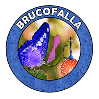 Brucofalla profile picture