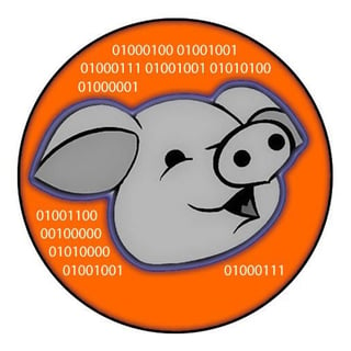 Digital Pig profile picture