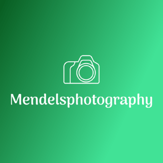 mendelsphotography profile picture