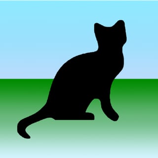 TheCoolBlackCat profile picture