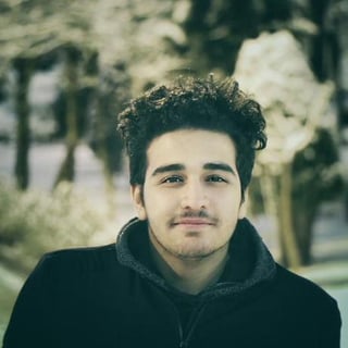 Mohammad Naderi profile picture