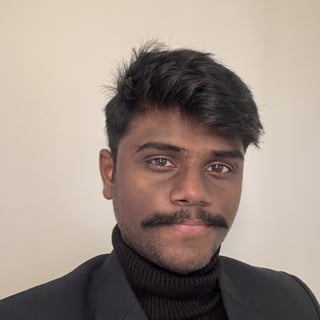 Ramu Narasinga profile picture