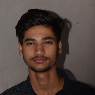 Priyanshu Panwar profile picture