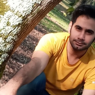 MeiSaM Valizadeh profile picture