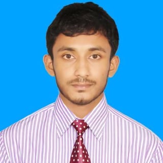 Md Nazmul Haque profile picture