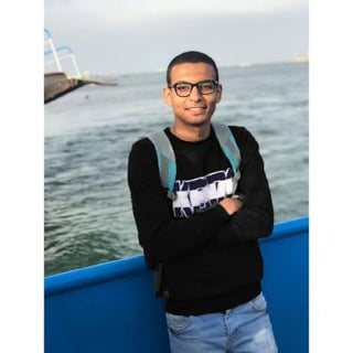 Mohamed Elfar profile picture