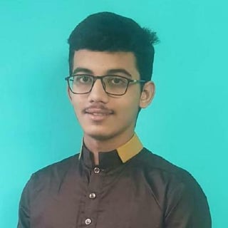 Mohammed Hamza Malik profile picture