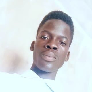 Adeyemi Paul Damilola profile picture