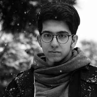 Alireza Arabshahi profile picture