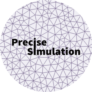 Precise Simulation profile picture