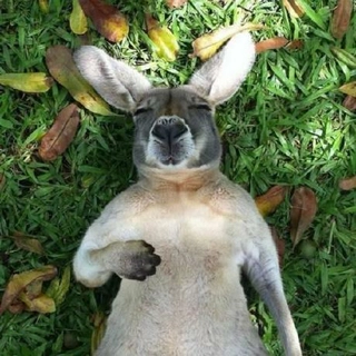 YinTokey profile picture