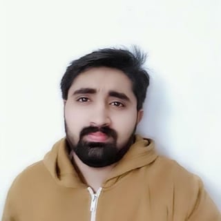 Umair Mehmood profile picture