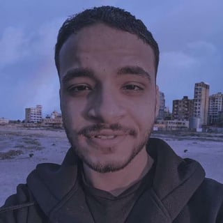 Elwazer007 profile picture