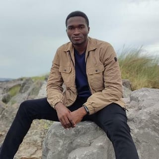 Adedimeji Sebiotimo profile picture