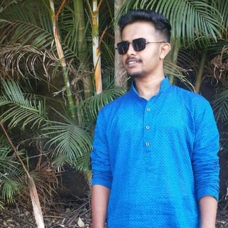 Vighnesh Kulkarni profile picture