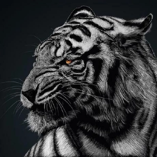 Pratik Kinage profile picture