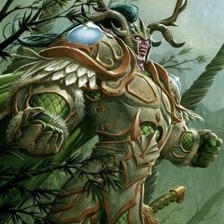 Druid Mika profile picture