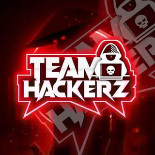 тεαмнαcкεяz™ profile picture