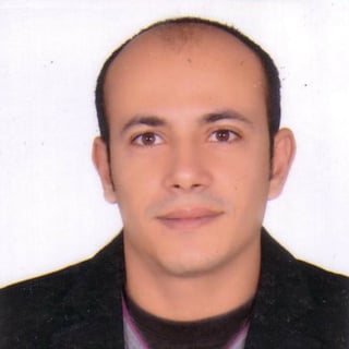 elsayed hussein profile picture