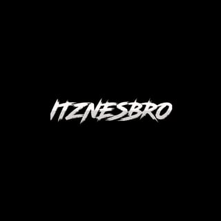 ItzNesbroDev profile picture