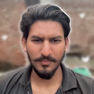 Danish Saleem profile picture