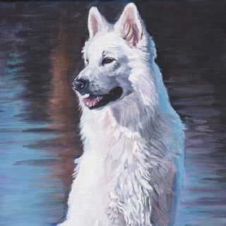 Wolf profile picture