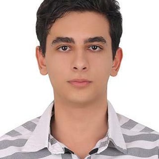 Faraz.Honarmand profile picture