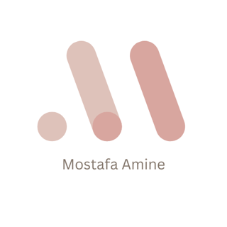 mostafa amine briere profile picture