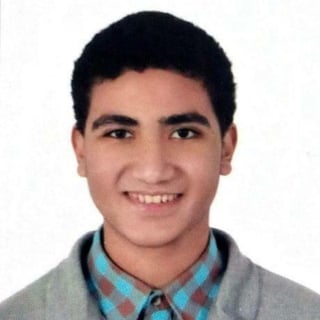 Ahmed Elgohary profile picture