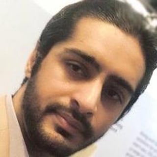 syedmeesamali profile picture