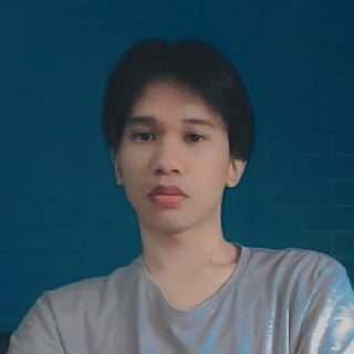 Dids Irwyn Reyes profile picture